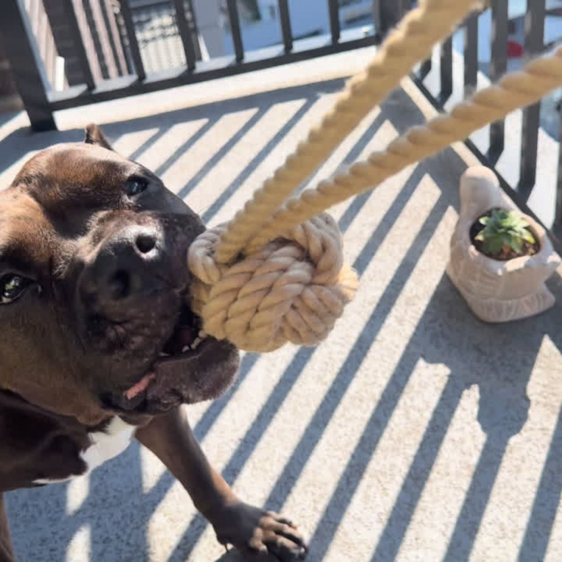 Natural Hemp Tug Rope Ball-2